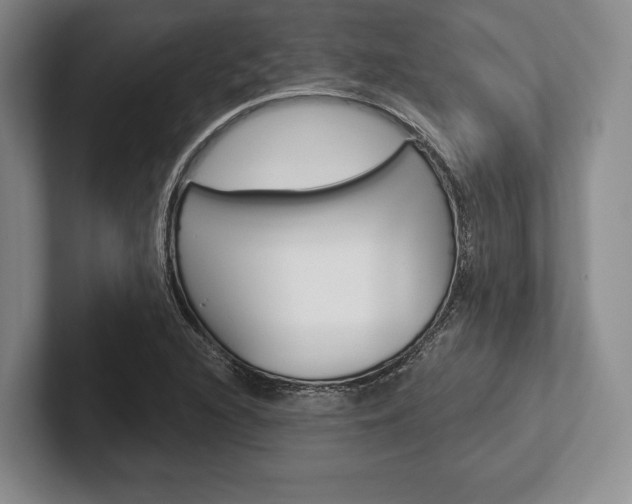 X0000102541216200808081043