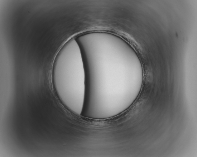 X0000102541220200808081043