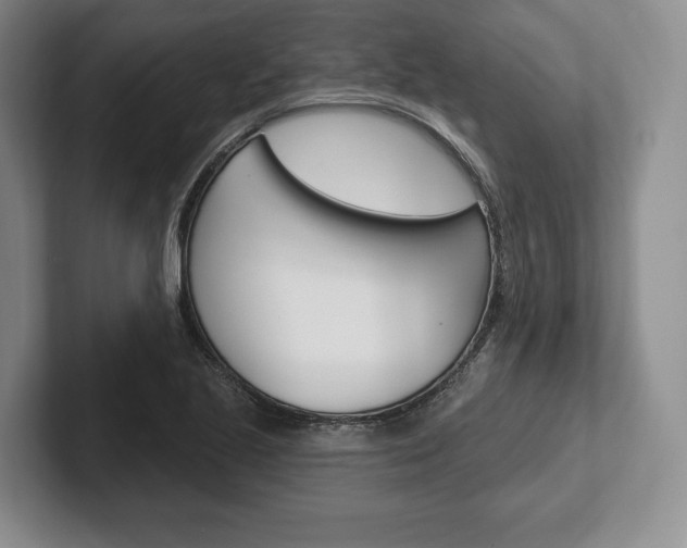 X0000102541221200808081043