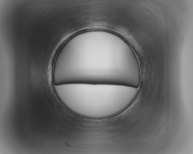 X0000102541224200808081043