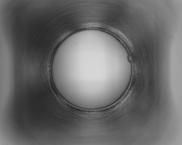 X0000102541225200808081043