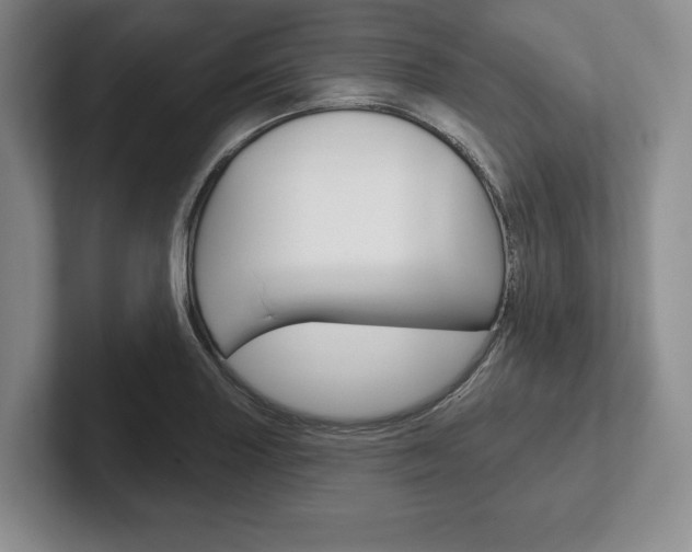 X0000102541227200808081043