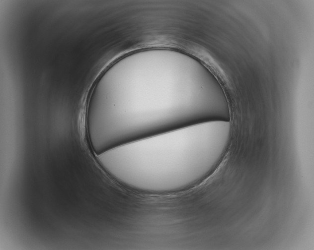 X0000102541228200808081043