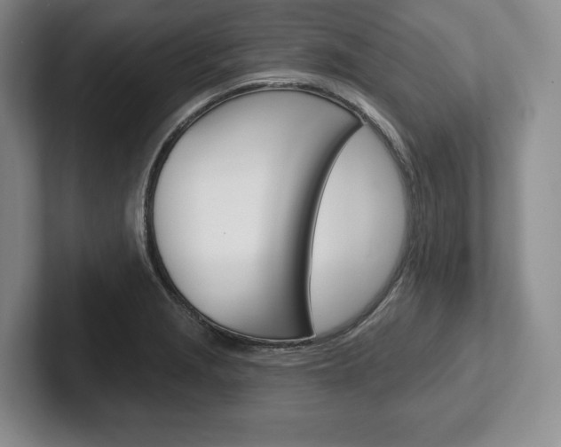 X0000102541229200808081043