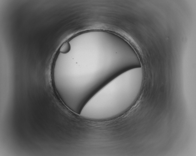 X0000102541230200808081043