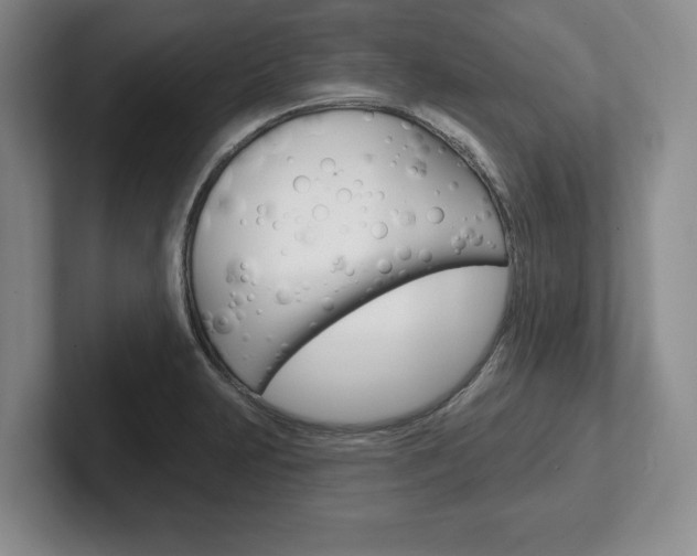 X0000102541231200808081043