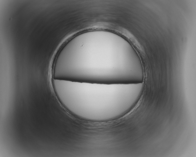 X0000102541232200808081043