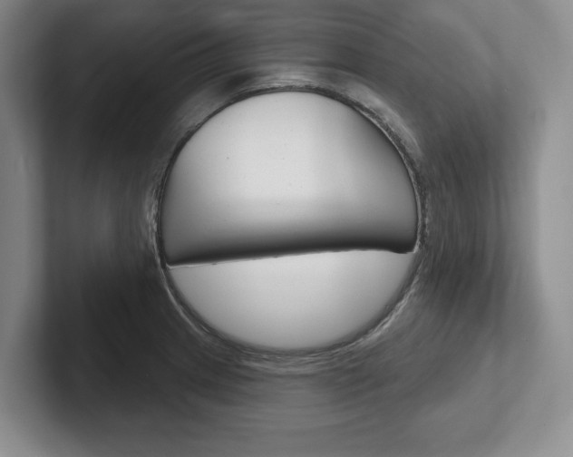 X0000102541233200808081043