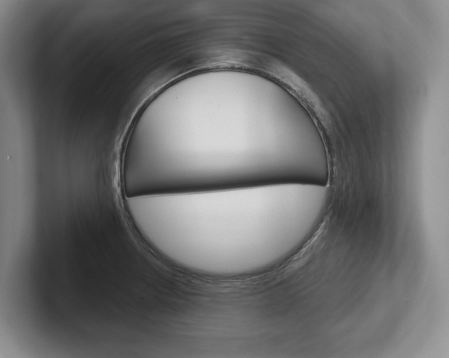 X0000102541234200808081043