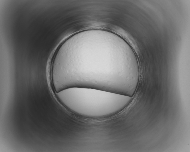 X0000102541235200808081043