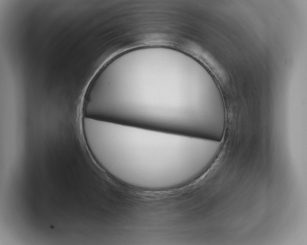 X0000102541236200808081043