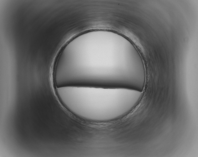 X0000102541237200808081043