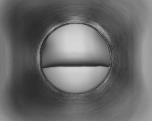 X0000102541238200808081043
