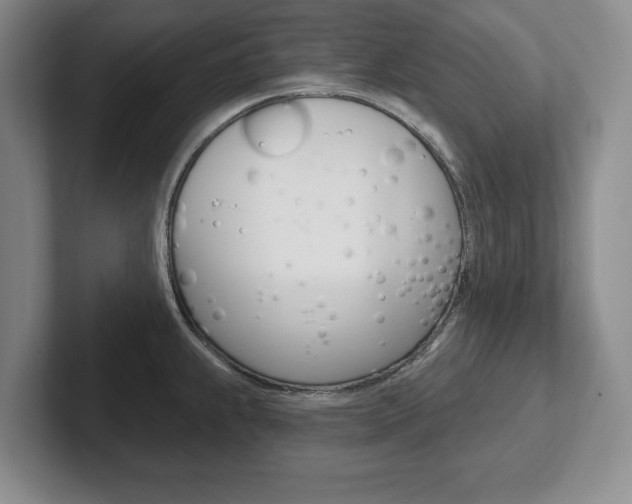 X0000102541239200808081043