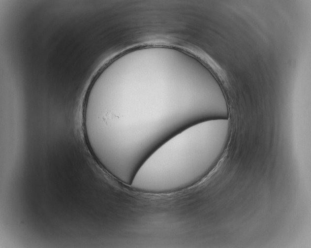 X0000102541240200808081043