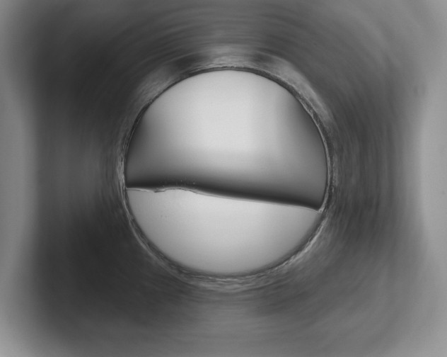 X0000102541241200808081043