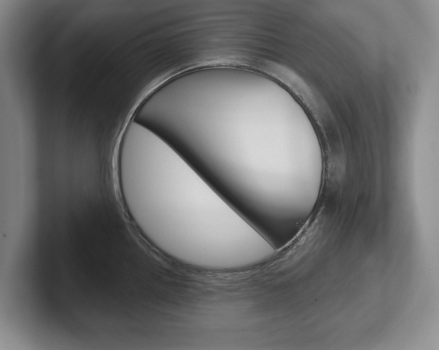 X0000102541242200808081043