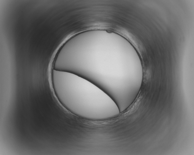 X0000102541243200808081043