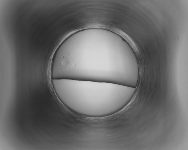 X0000102541244200808081043