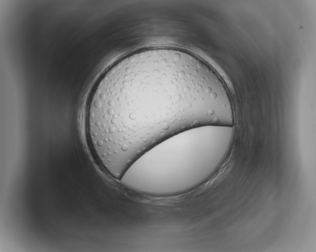 X0000102541245200808081043