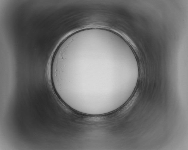 X0000102541246200808081043