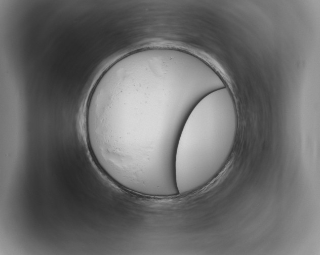 X0000102541247200808081043