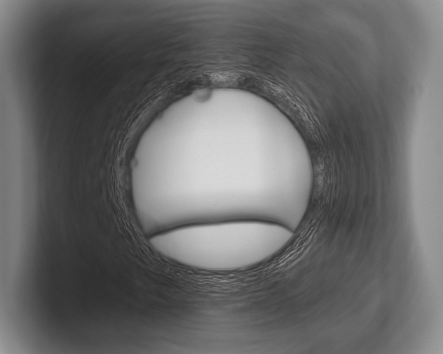 X0000102541249200808081043