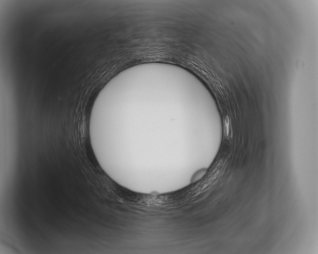 X0000102541251200808081043
