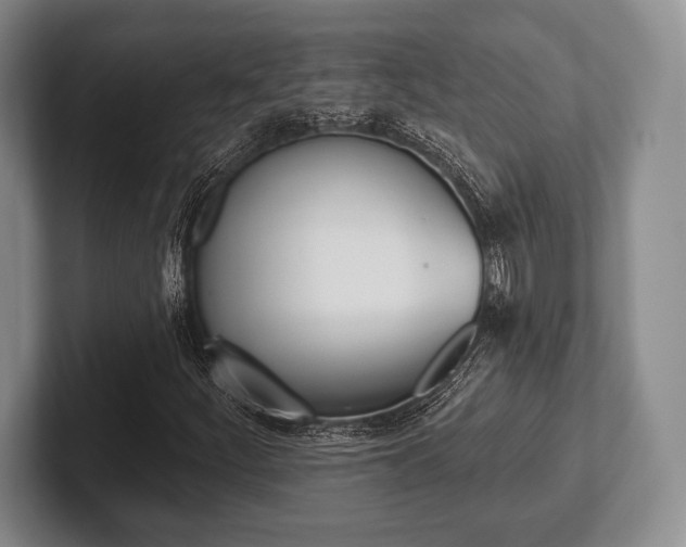 X0000102541252200808081043