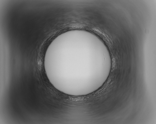 X0000102541254200808081043