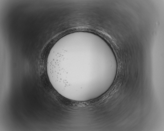 X0000102541255200808081043