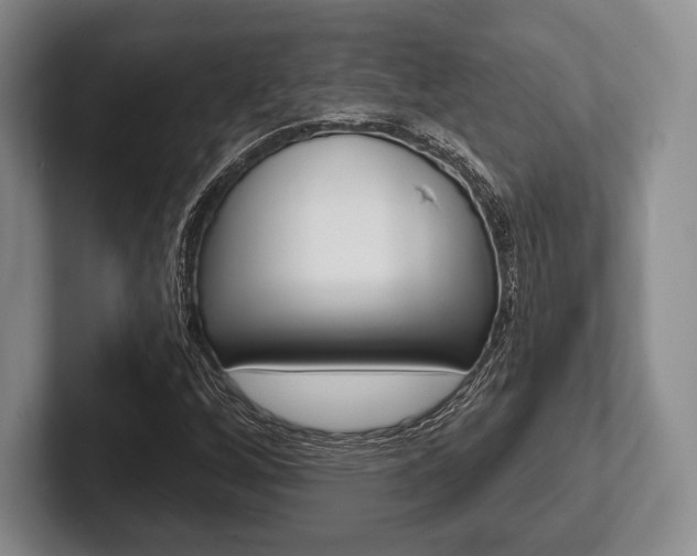 X0000102541256200808081043