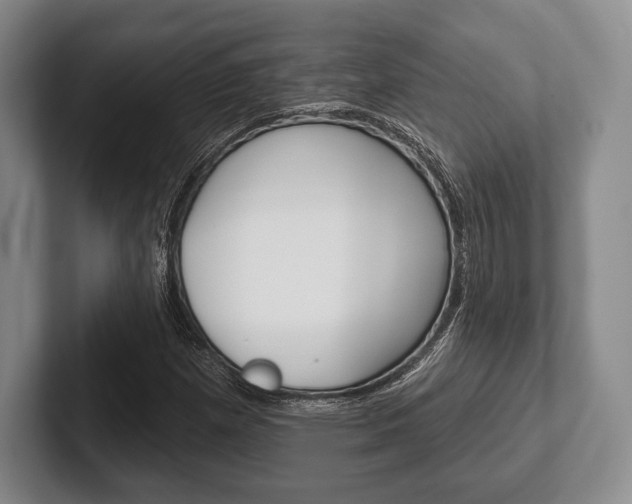 X0000102541257200808081043