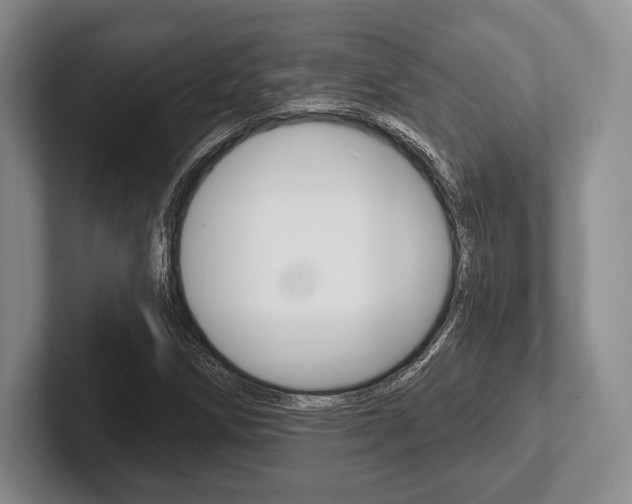 X0000102541258200808081043
