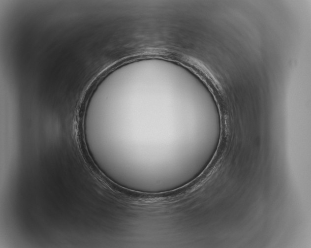 X0000102541260200808081043