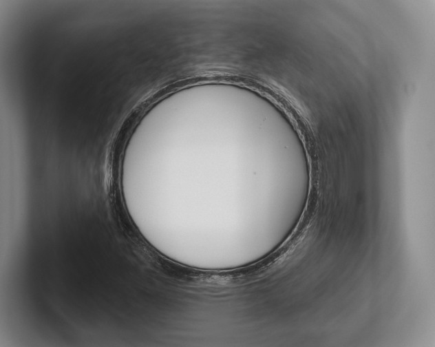 X0000102541261200808081043