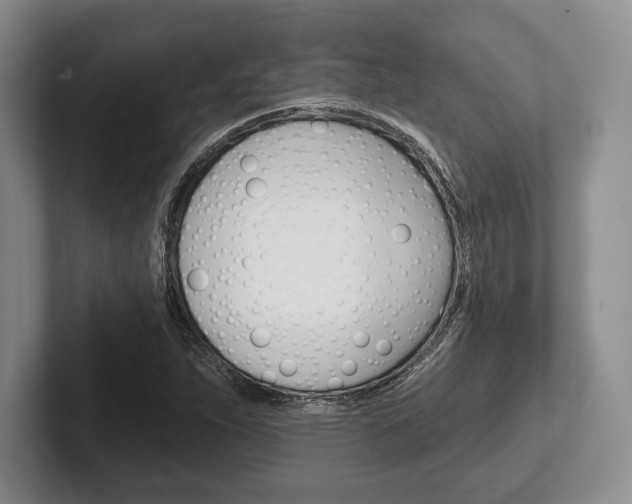 X0000102541263200808081043