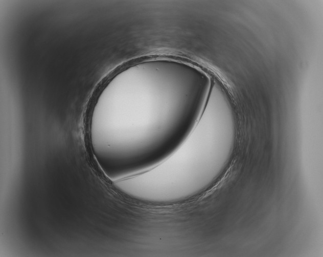 X0000102541264200808081043