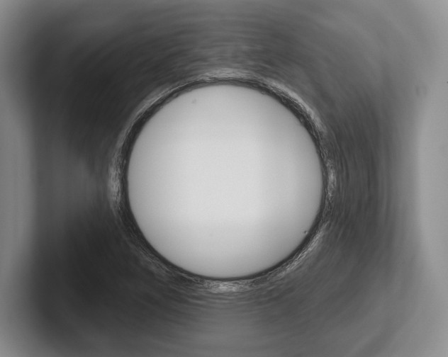 X0000102541266200808081043