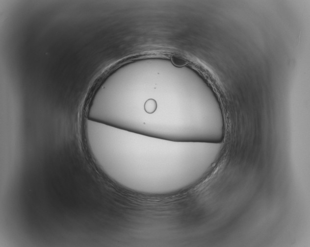 X0000102541267200808081043