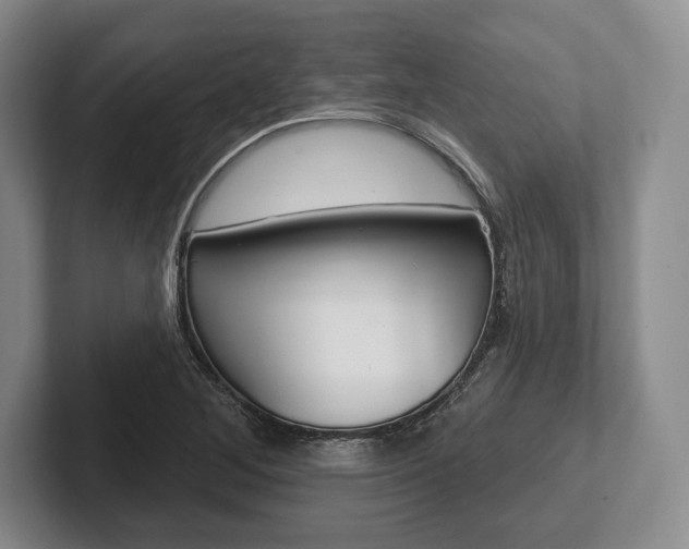 X0000102541268200808081043
