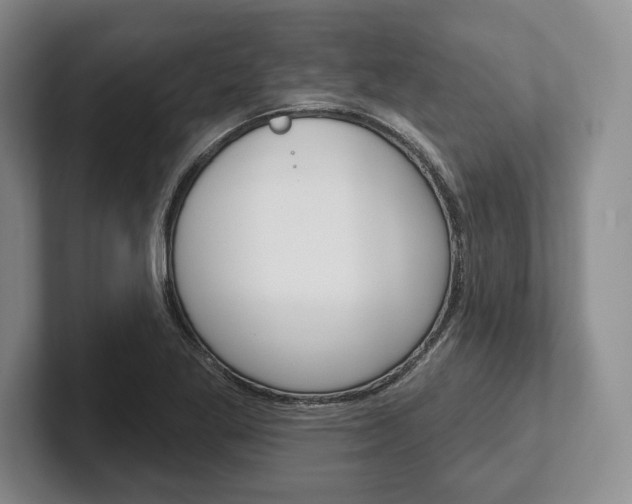X0000102541269200808081043