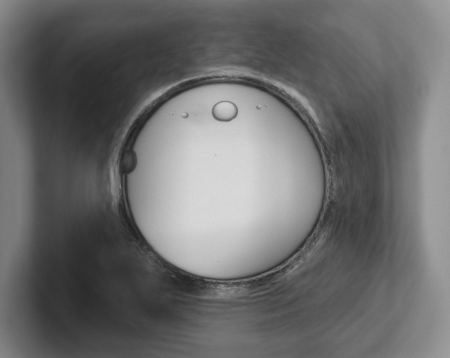 X0000102541271200808081043