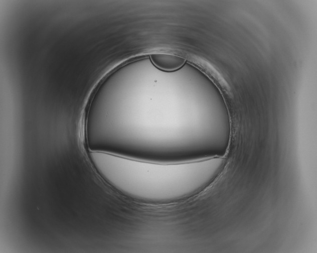 X0000102541276200808081042