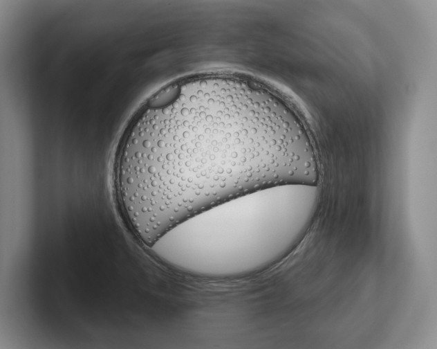 X0000102541279200808081042