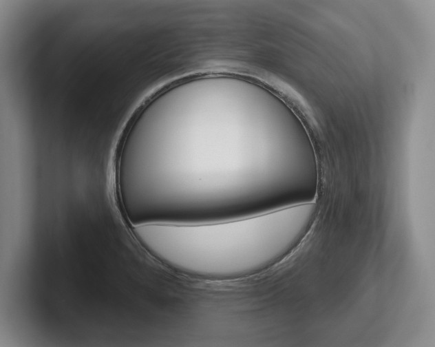 X0000102541280200808081042