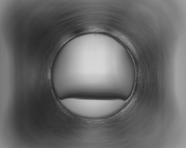 X0000102541281200808081042