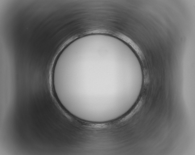 X0000102541282200808081042