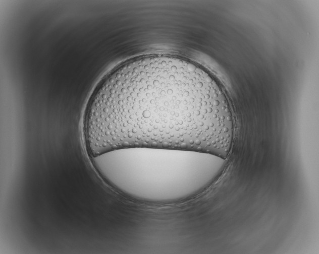 X0000102541283200808081042