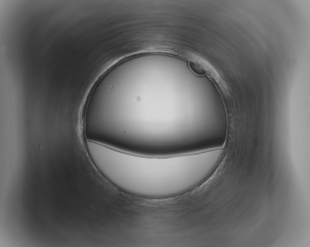X0000102541284200808081042